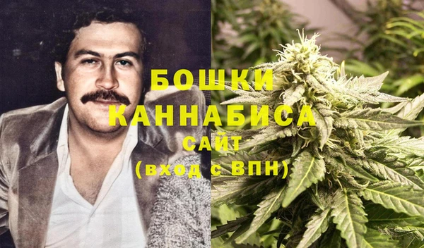 эйфоретик Белокуриха