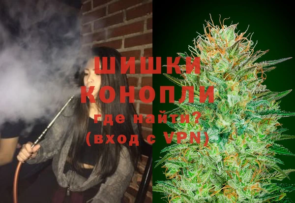 эйфоретик Белокуриха