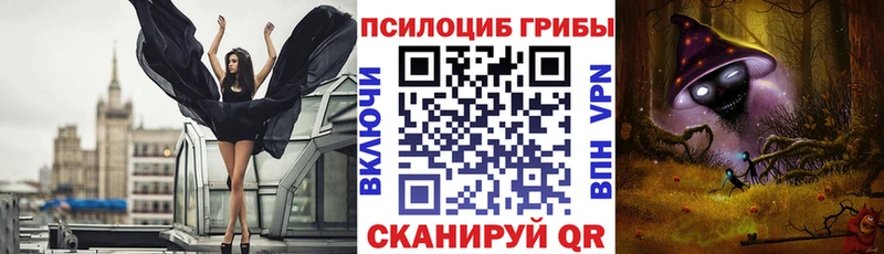 Псилоцибиновые грибы прущие грибы купить Колпашево